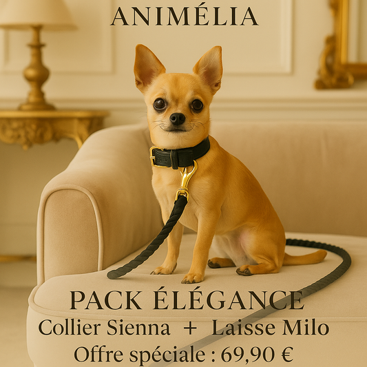Pack Collier Sienna + Laisse Milo