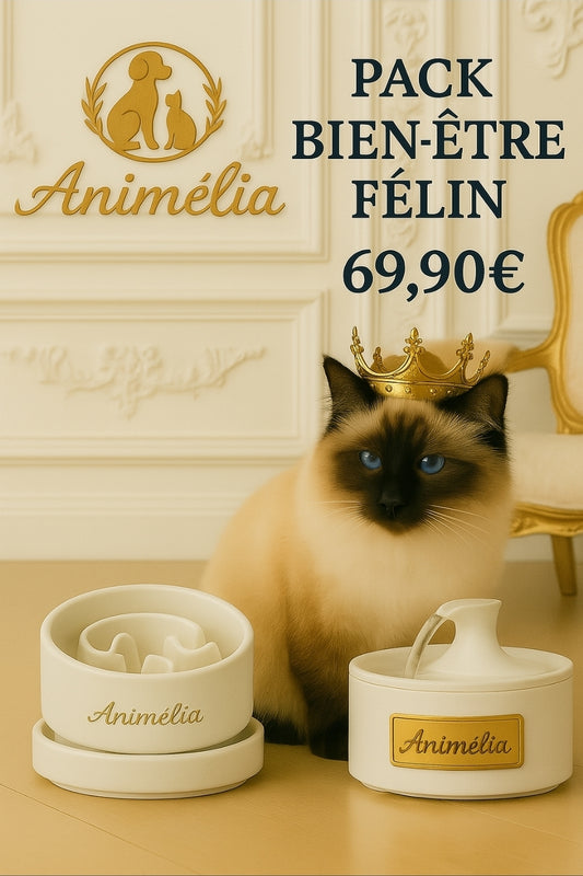 Pack Bien-être Félin – Fontaine + Gamelle Chic